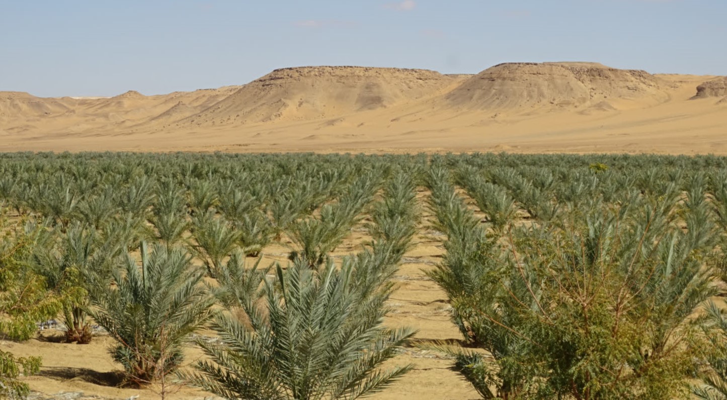 The Black Desert, Western Desert, Egypt