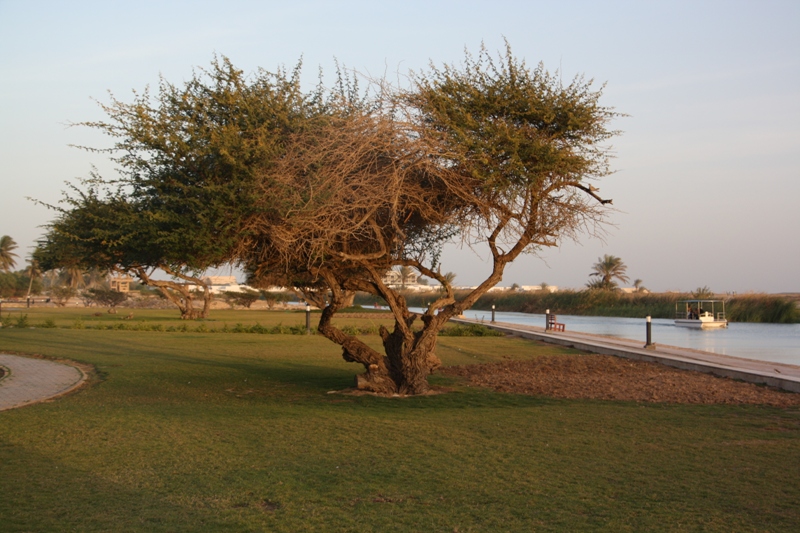 Frankincense Land Museum, Salalah, Oman