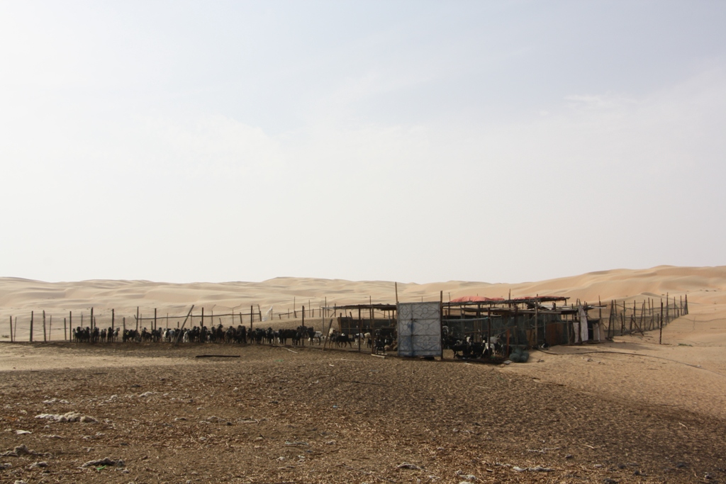 Industrial Area, Moreeb Hill Sand Dunes, (Tal Mireb) Abu Dhabi, United Arab Emirates