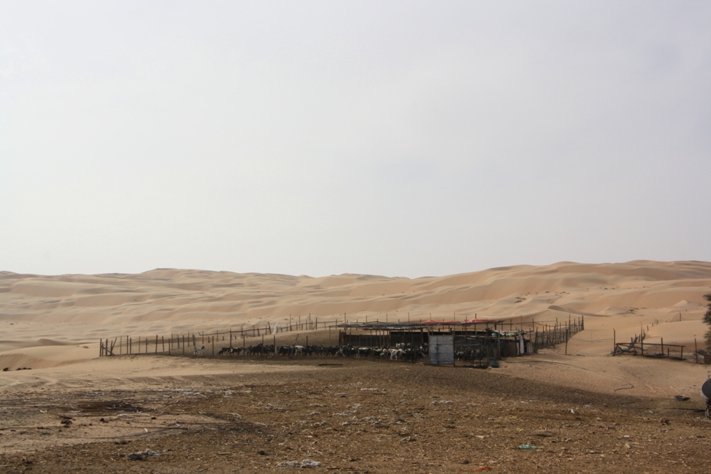 Industrial Area, Moreeb Hill Sand Dunes, (Tal Mireb) Abu Dhabi, United Arab Emirates