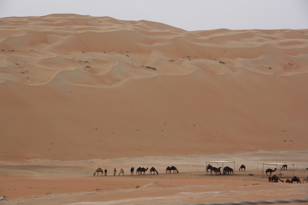  Moreeb Hill Sand Dunes, (Tal Mireb) Abu Dhabi, United Arab Emirates