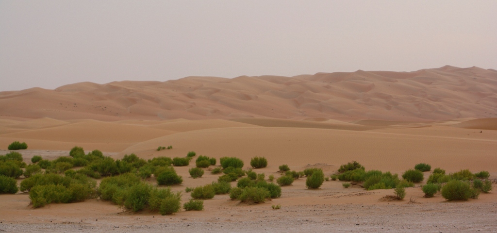 Moreeb Hill Sand Dunes, (Tal Mireb) Abu Dhabi, United Arab Emirates