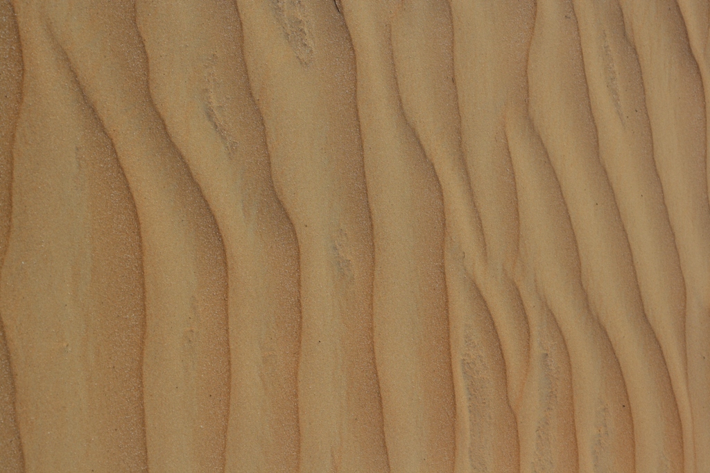 Moreeb Hill Sand Dunes, Abu Dhabi, United Arab Emirates