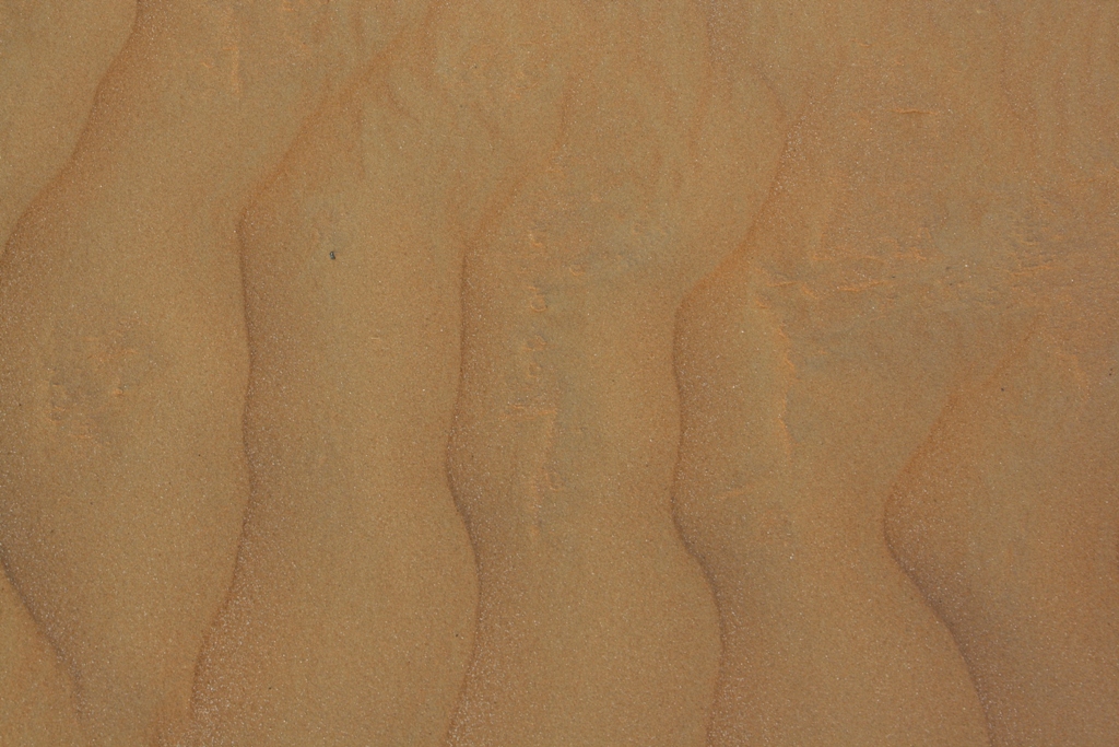 Moreeb Hill Sand Dunes, Abu Dhabi, United Arab Emirates