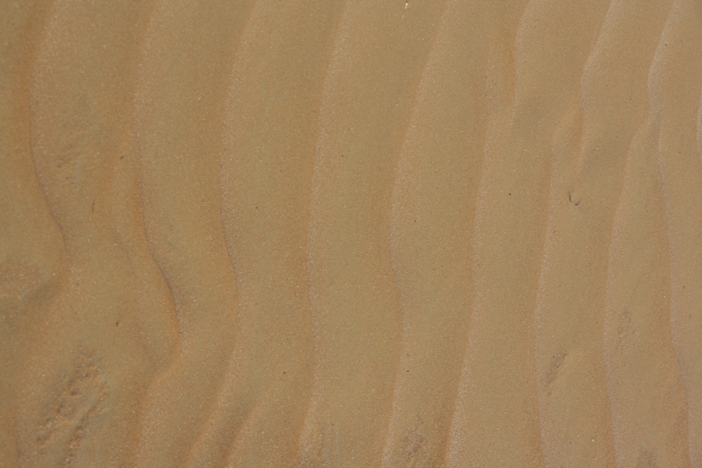 Moreeb Hill Sand Dunes, Abu Dhabi, United Arab Emirates