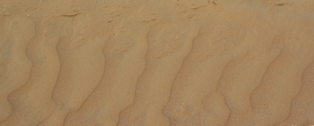 Moreeb Hill Sand Dunes, Abu Dhabi, United Arab Emirates