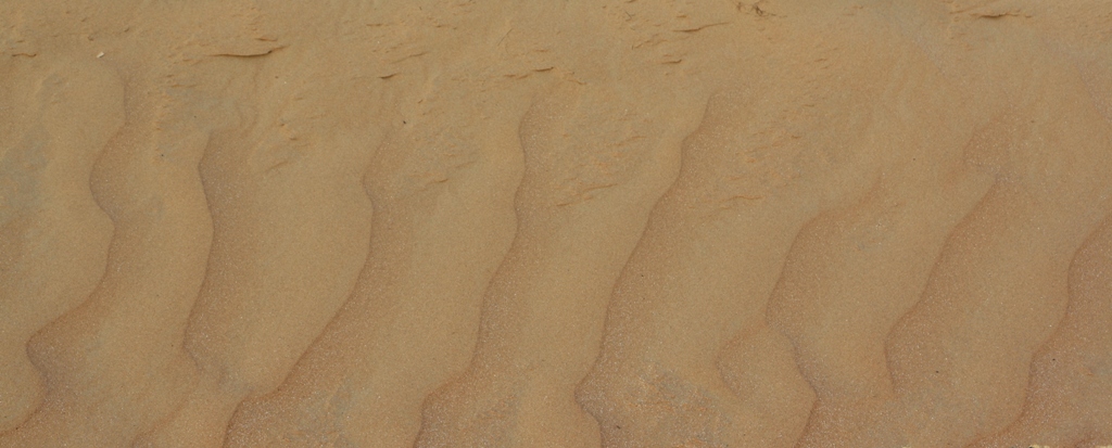 Moreeb Hill Sand Dunes, Abu Dhabi, United Arab Emirates