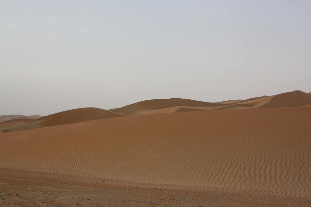 Moreeb Hill Sand Dunes, Abu Dhabi, United Arab Emirates