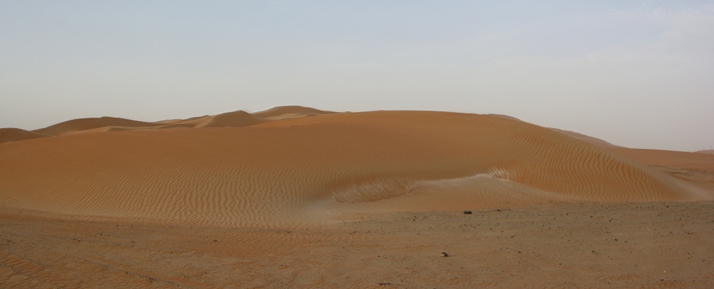 Moreeb Hill Sand Dunes, Abu Dhabi, United Arab Emirates