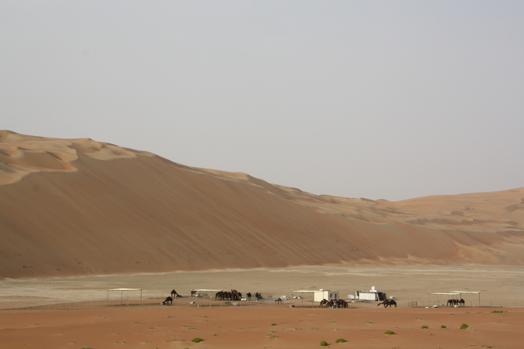 Moreeb Hill Sand Dunes, (Tal Mireb) Abu Dhabi, United Arab Emirates