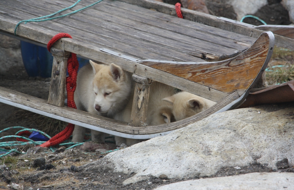 Semiliqaq, East Greenland