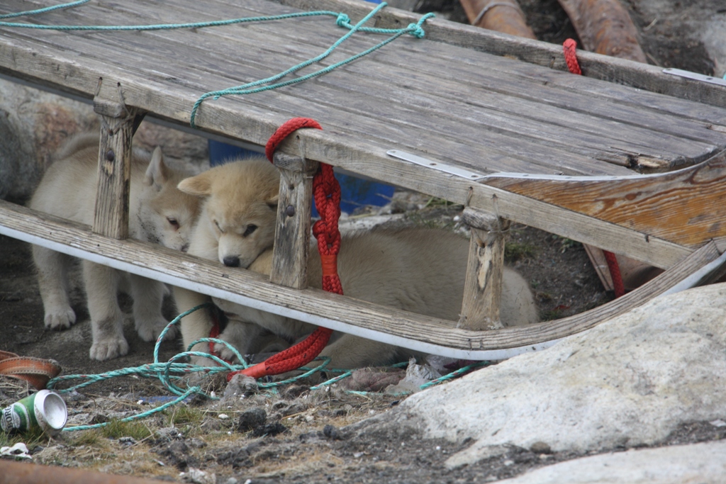 Semiliqaq, East Greenland