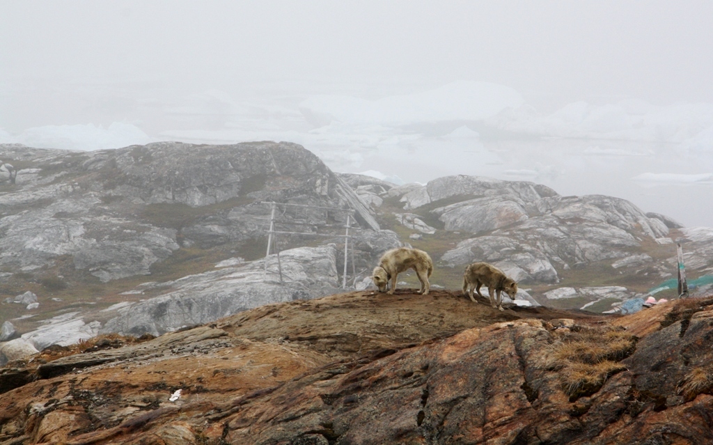 Semiliqaq, East Greenland