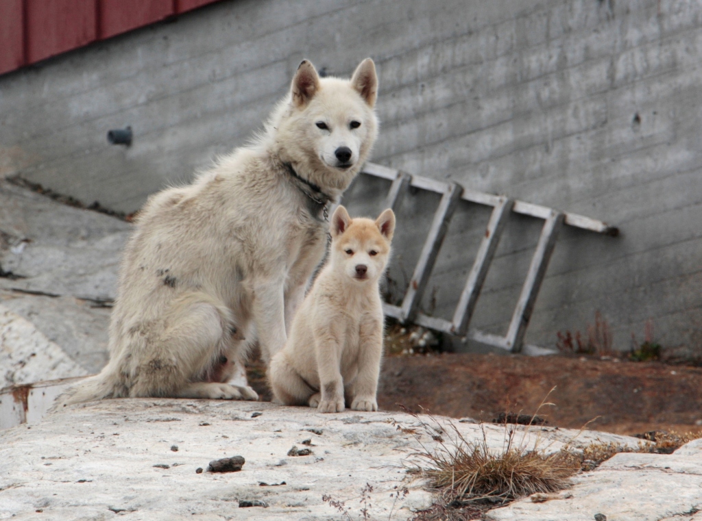 Semiliqaq, East Greenland