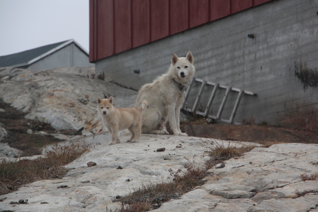 Semiliqaq, East Greenland