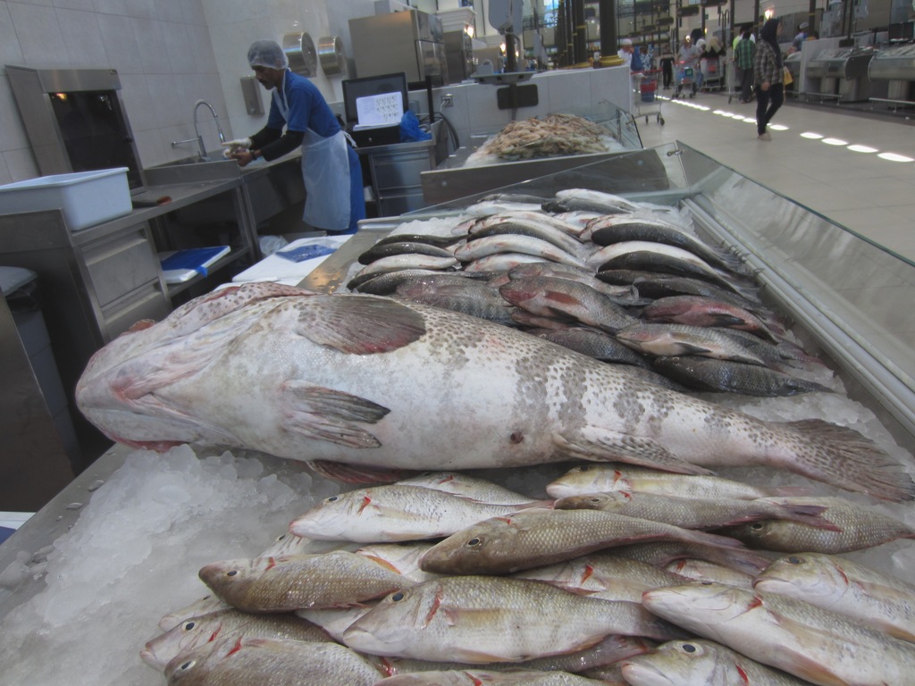 Fish Souk, Sharjah, UAE