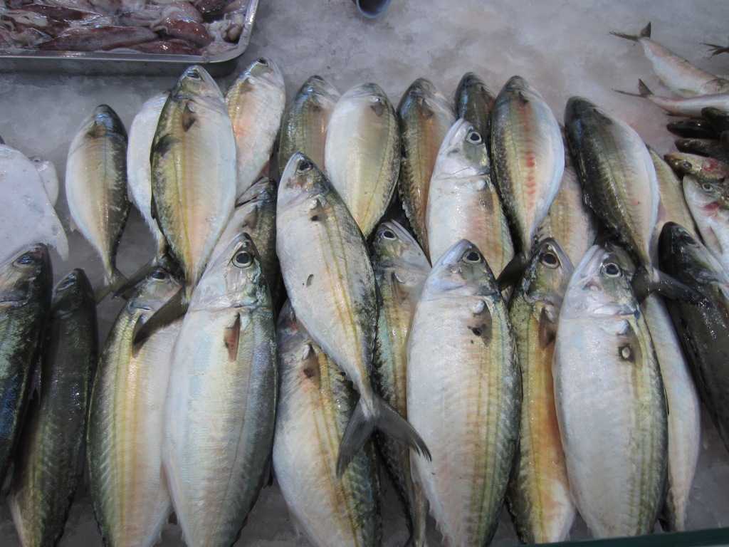 Fish Souk, Sharjah, UAE