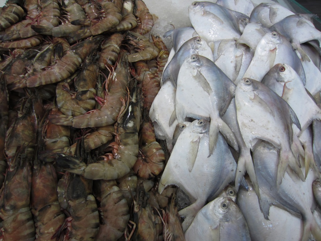Fish Souk, Sharjah, UAE