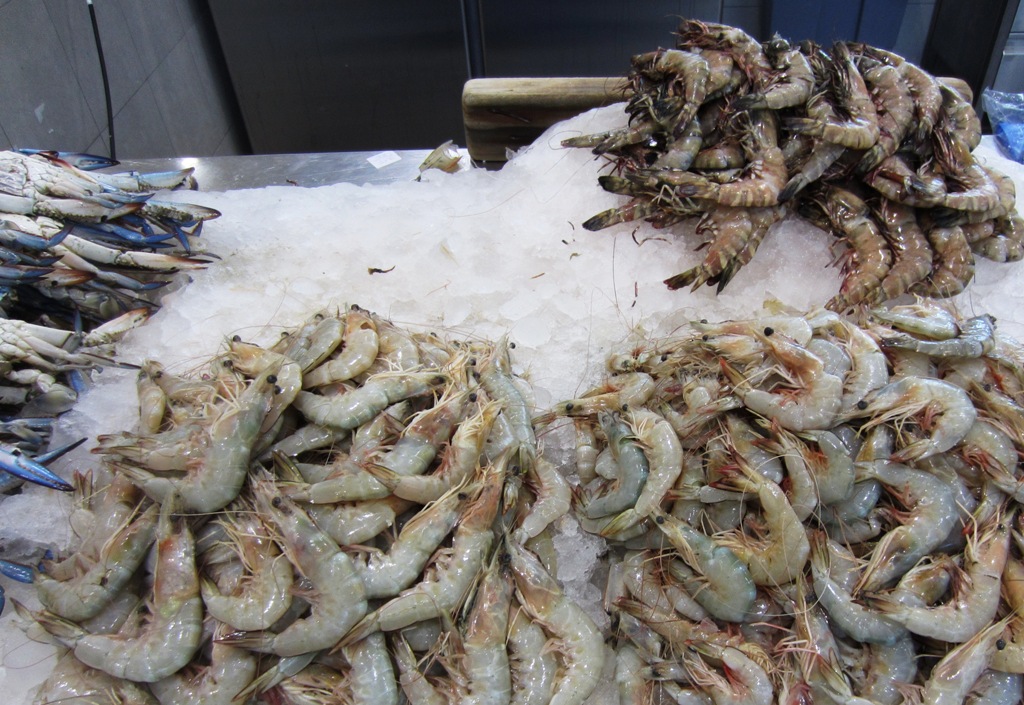 Fish Souk, Sharjah, UAE