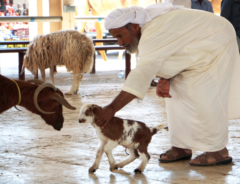 Sinaw Souk, Oman