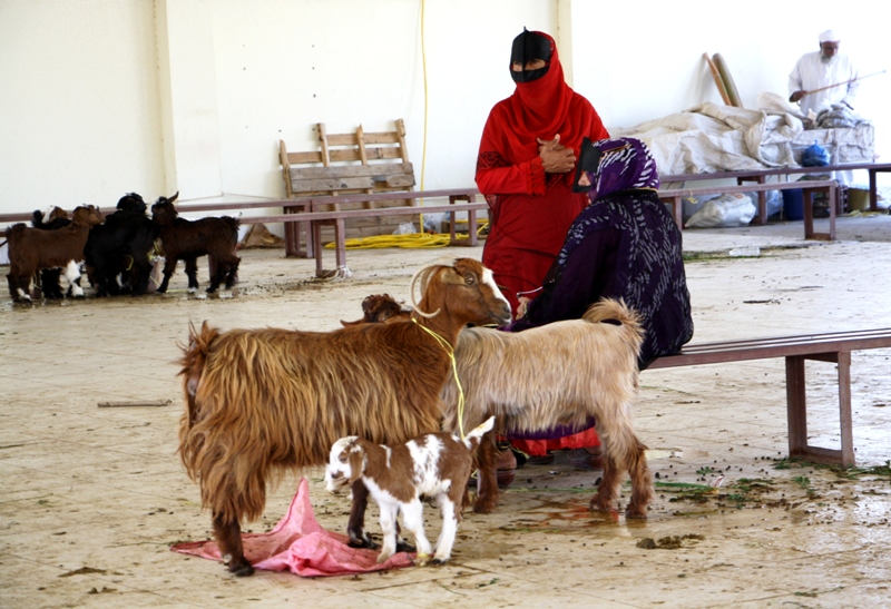 Sinaw Souk, Oman