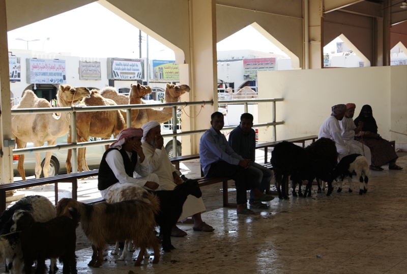 Sinaw Souk, Oman