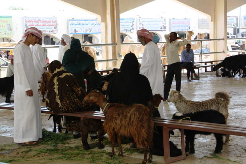 Sinaw Souk, Oman