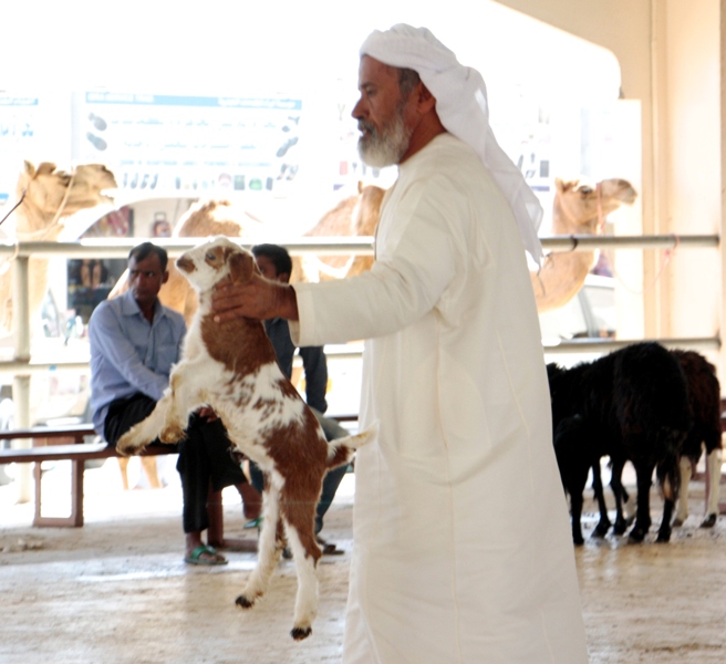 Sinaw Souk, Oman