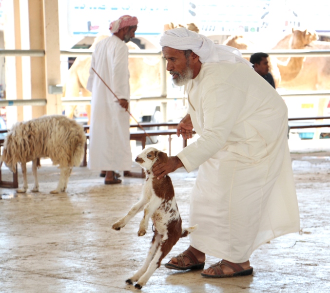 Sinaw Souk, Oman