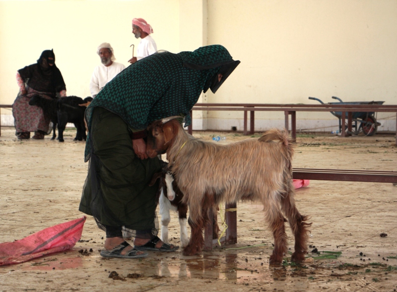 Sinaw Souk, Oman