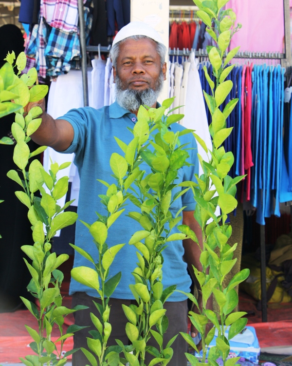 Sinaw Souk, Oman