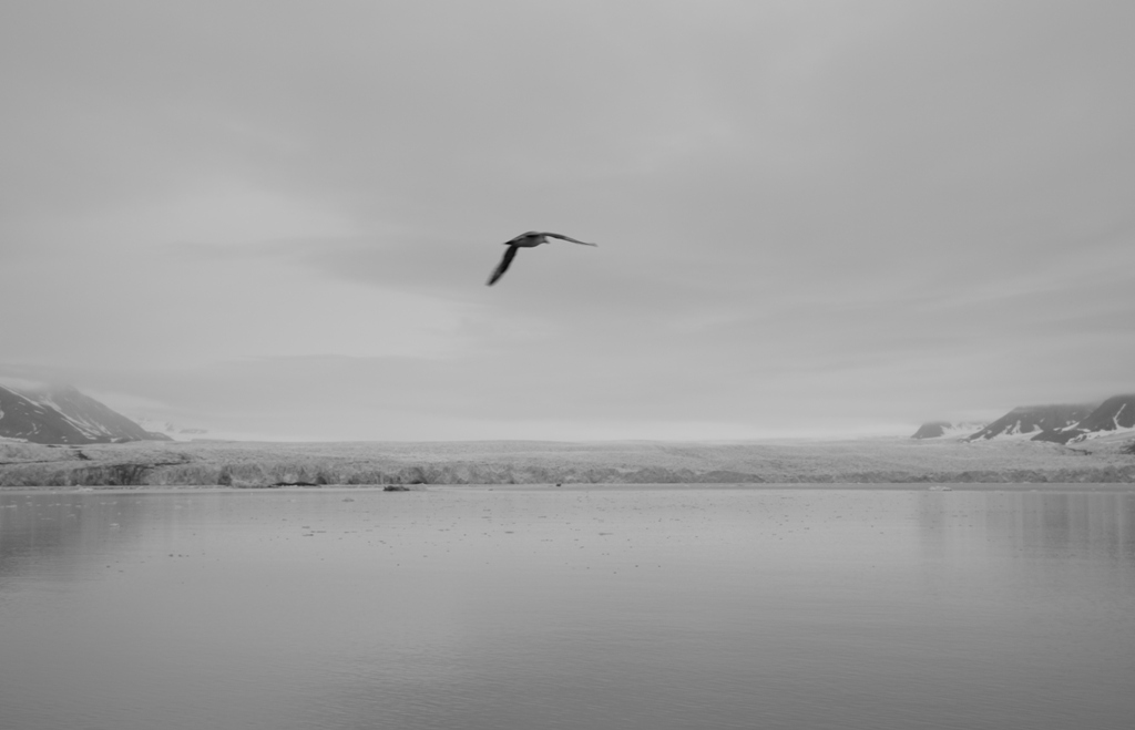 Svalbard, Above the Arctic Circle