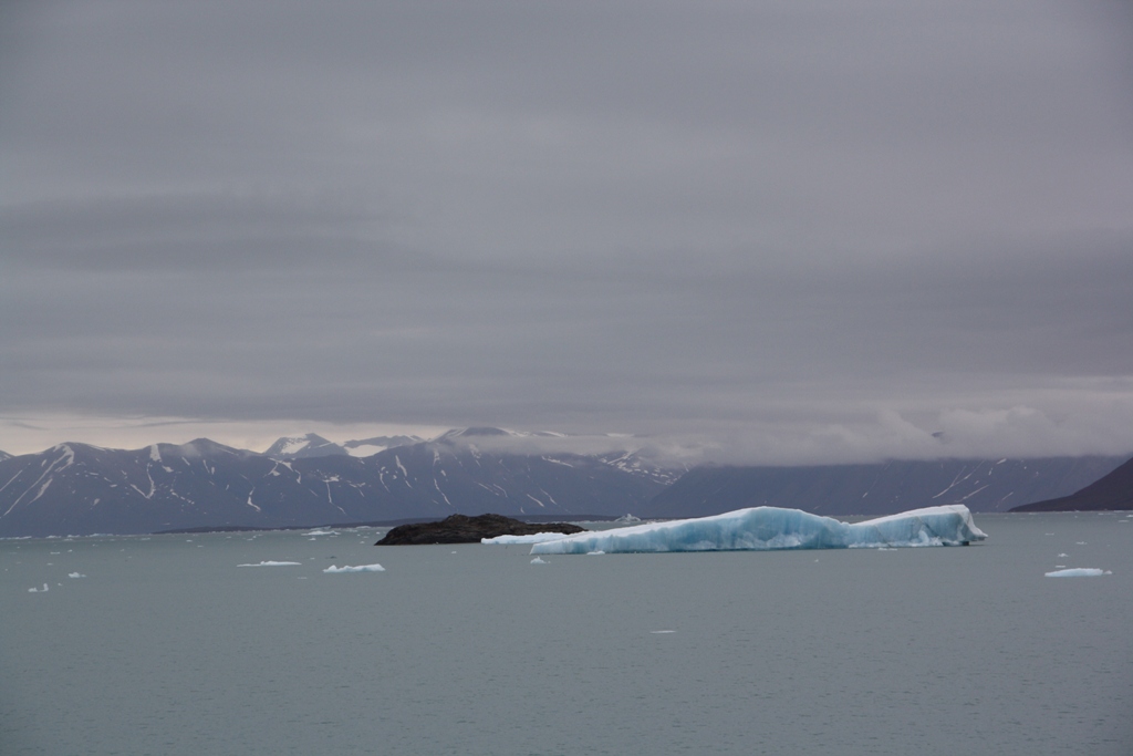 The Arctic Ocean