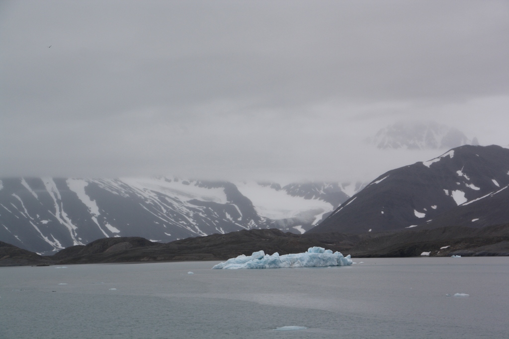 The Arctic Ocean