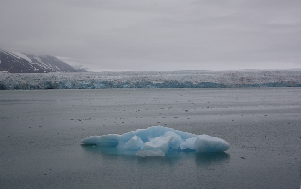 The Arctic Ocean