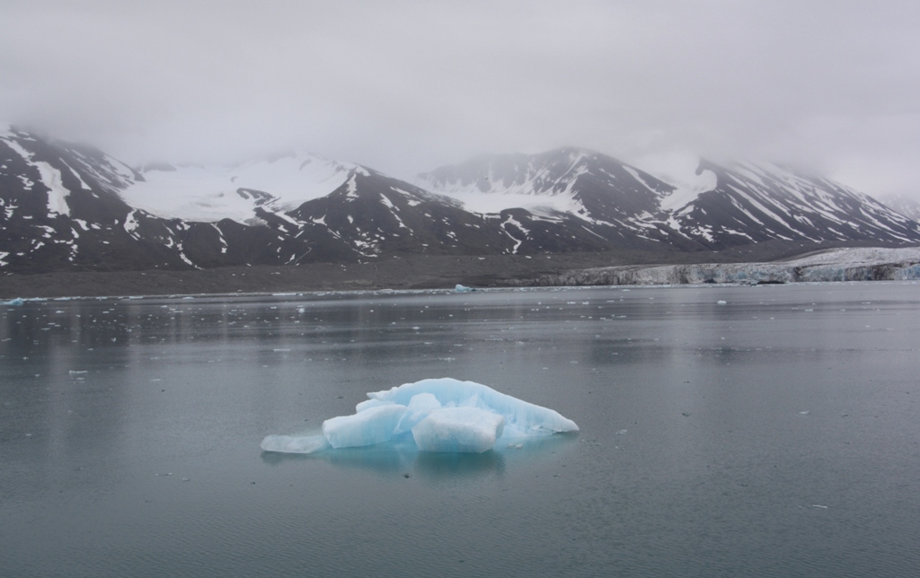 The Arctic Ocean