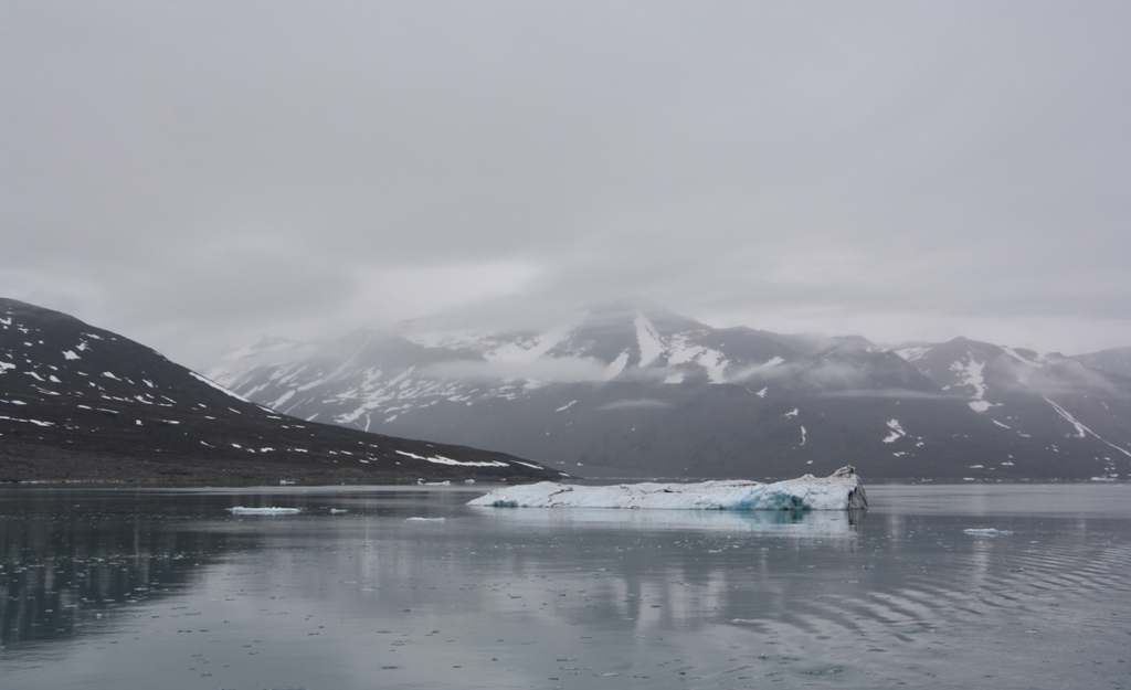 The Arctic Ocean