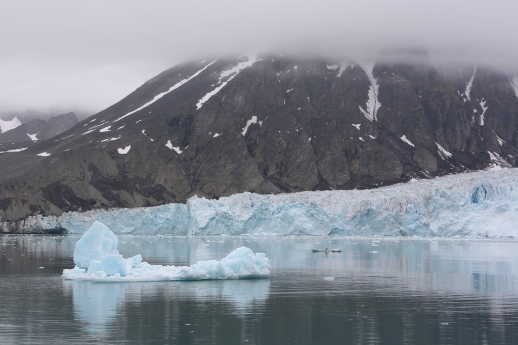 The Arctic Ocean