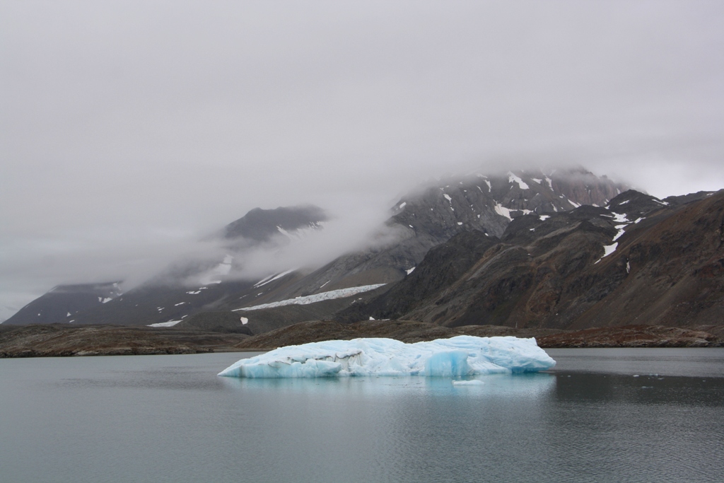 The Arctic Ocean