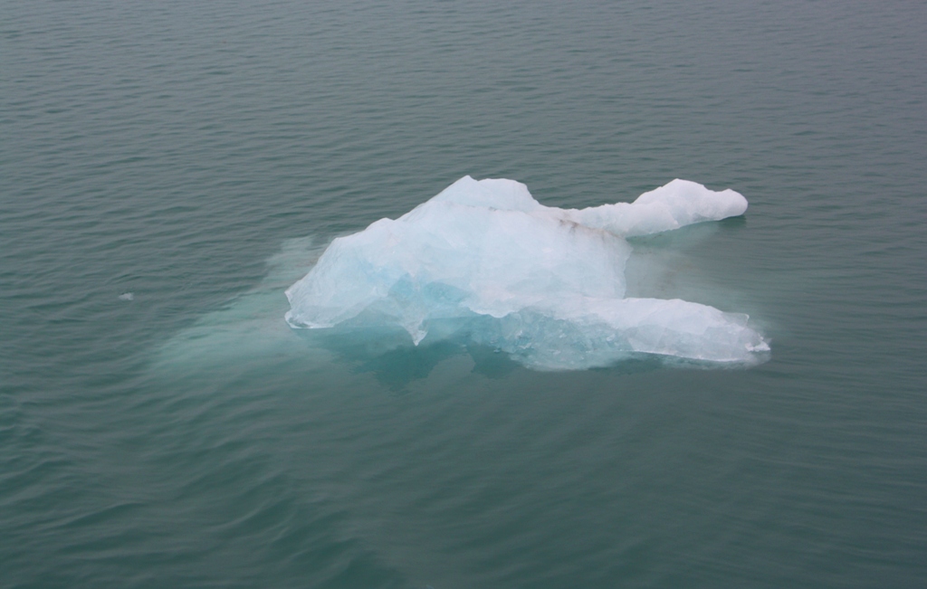 The Arctic Ocean