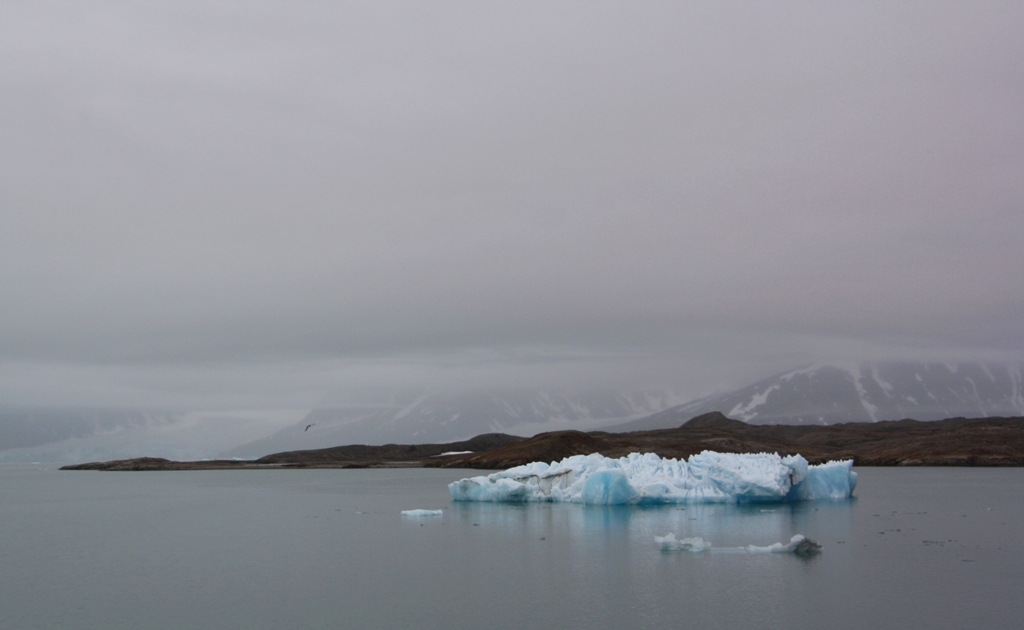The Arctic Ocean