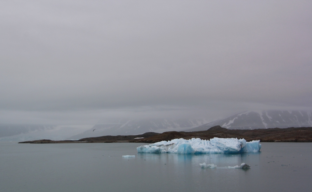 The Arctic Ocean