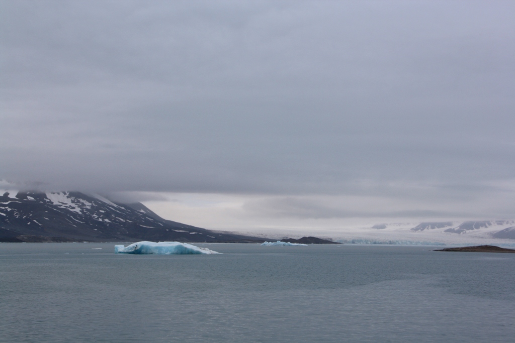 The Arctic Ocean