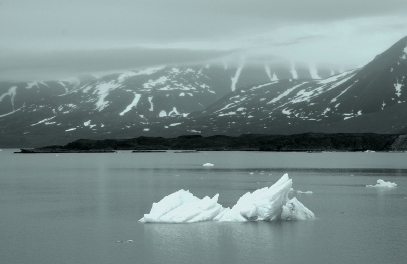 The Arctic Ocean