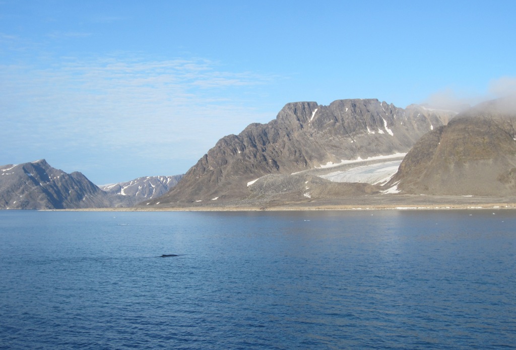 Searching in the Arctic Ocean