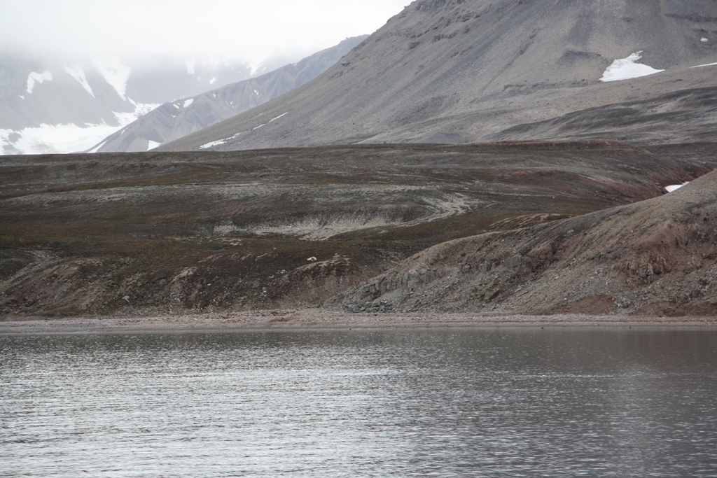 Searching in the Arctic Ocean