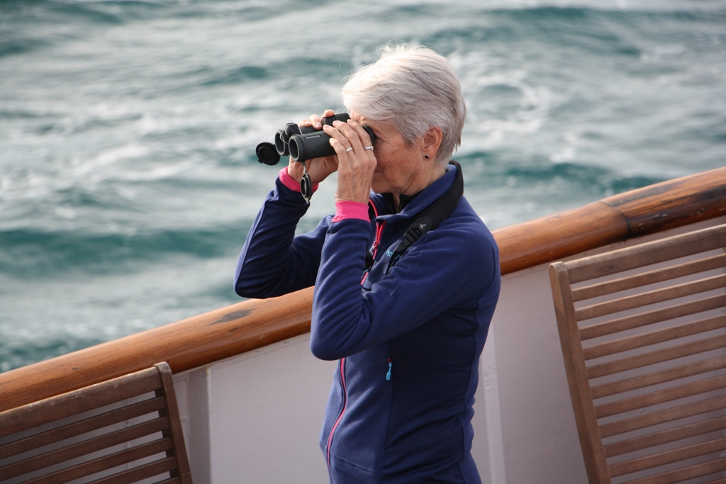 Searching in the Arctic Ocean