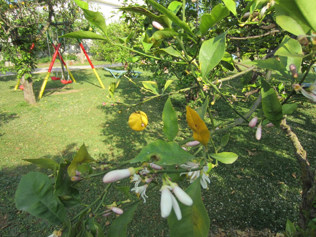 Le Jardin de Temeni, Aigio, Peloponnese, Greece