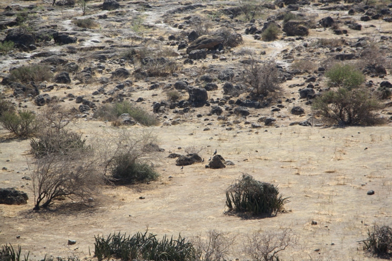 Ayn Sahalnoot, Oman