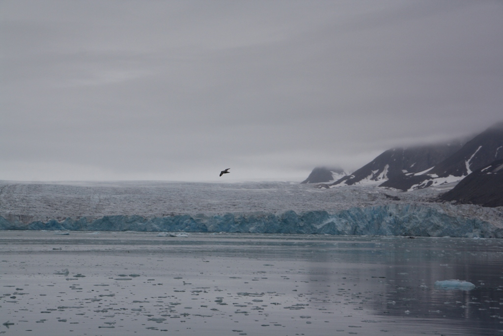 Svalbard, MS Nordstjernen, August, 2015